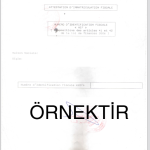 NIF BELGESİ ÖRNEĞİ